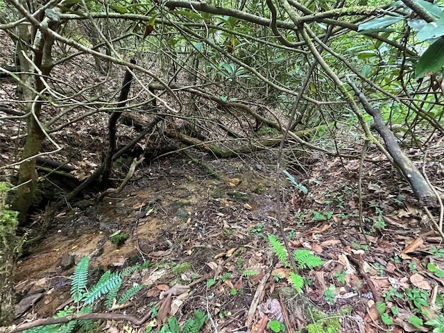00 Diamond Creek Rd, Lake Toxaway, NC 28747