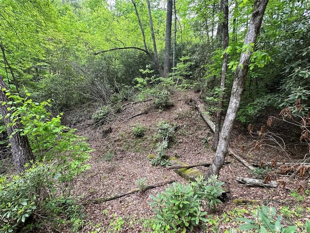 00 Diamond Creek Rd, Lake Toxaway, NC 28747