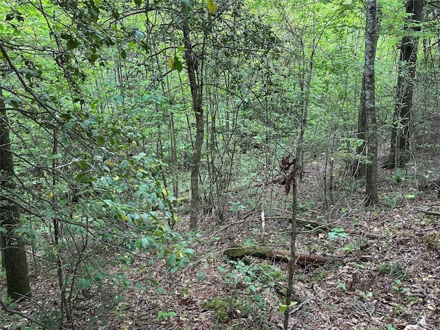 00 Diamond Creek Rd, Lake Toxaway, NC 28747