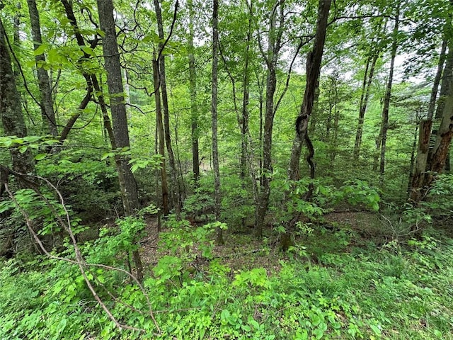 00 Diamond Creek Rd, Lake Toxaway, NC 28747