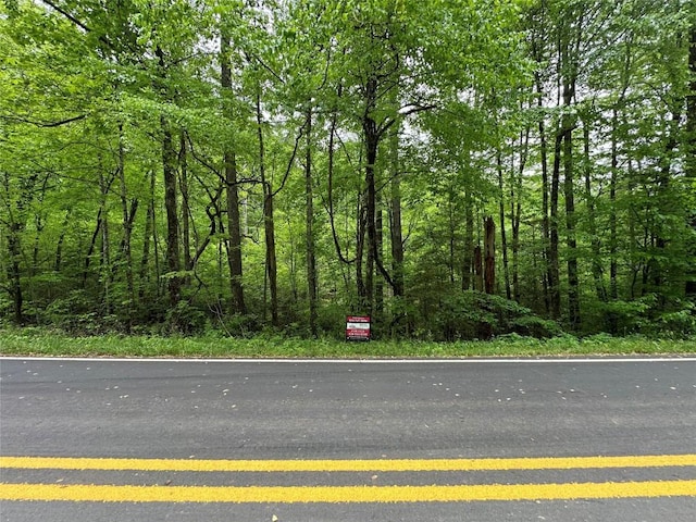 00 Diamond Creek Rd, Lake Toxaway, NC 28747