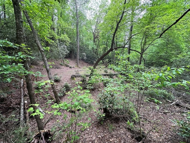 00 Diamond Creek Rd, Lake Toxaway, NC 28747