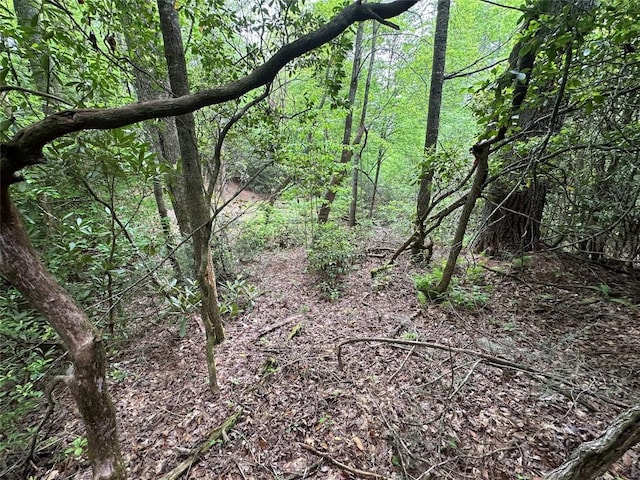00 Diamond Creek Rd, Lake Toxaway, NC 28747