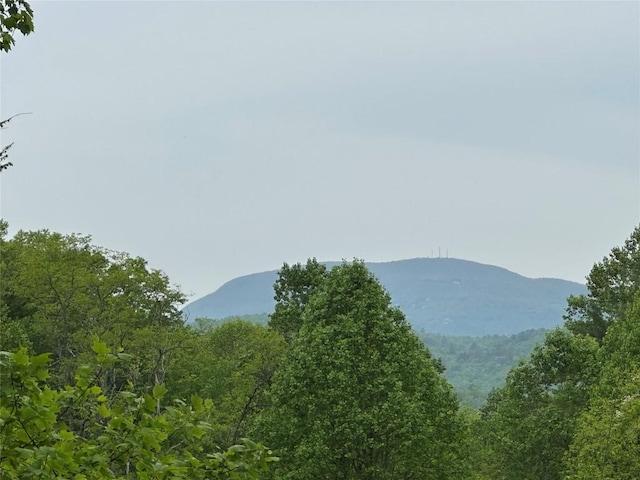 00 Diamond Creek Rd, Lake Toxaway, NC 28747