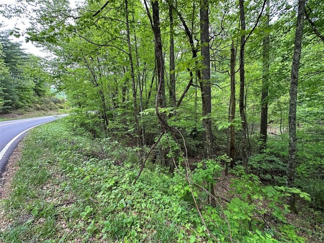 00 Diamond Creek Rd, Lake Toxaway, NC 28747