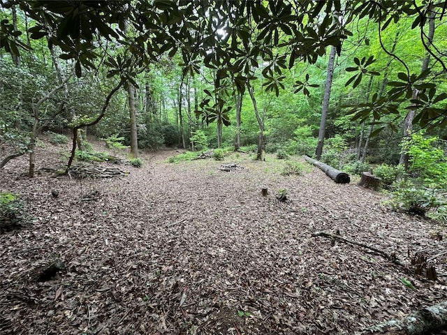 00 Diamond Creek Rd, Lake Toxaway, NC 28747