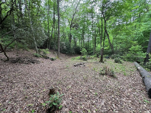 00 Diamond Creek Rd, Lake Toxaway, NC 28747