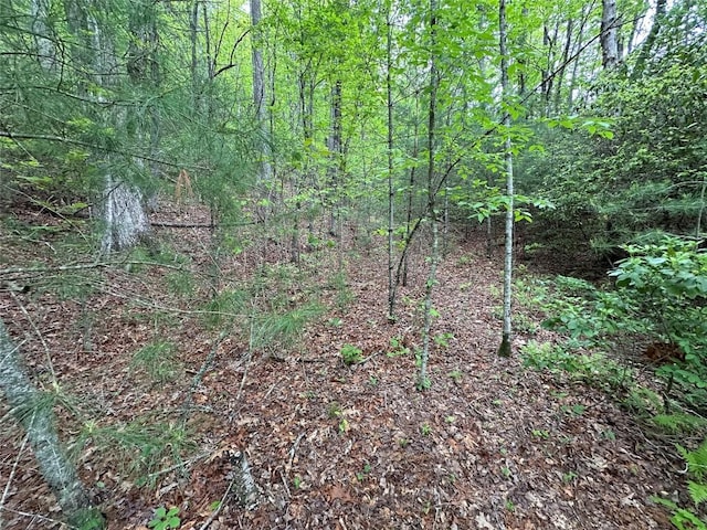 00 Diamond Creek Rd, Lake Toxaway, NC 28747