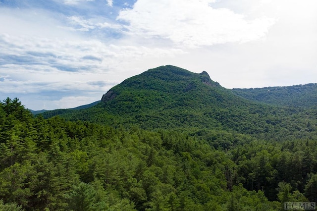 view of mountain feature