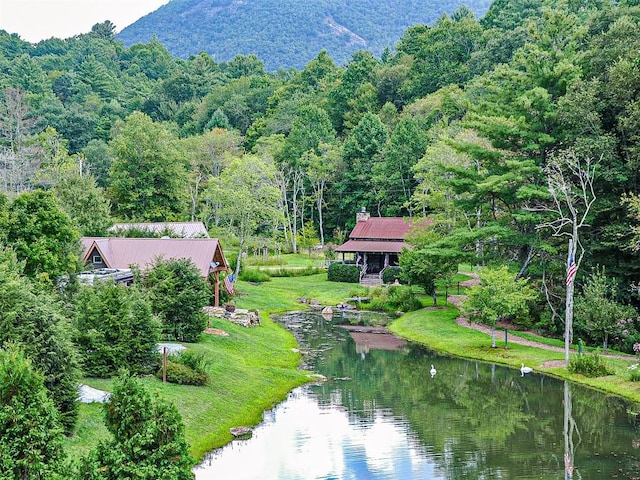 41 Highlands Way, Scaly Mountain, NC 28775 - photo 31