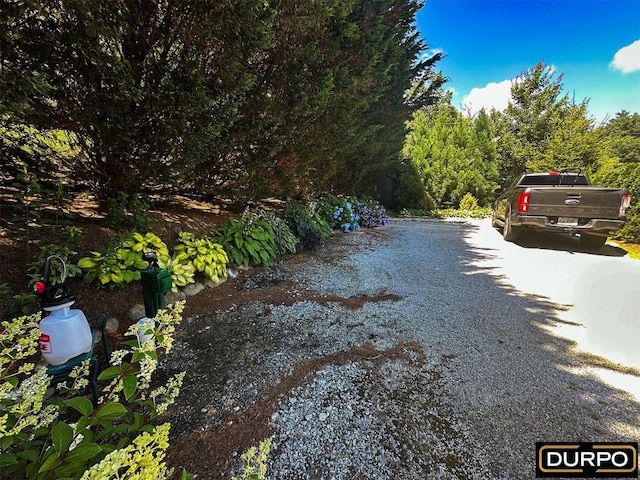 41 Highlands Way, Scaly Mountain, NC 28775 - photo 26