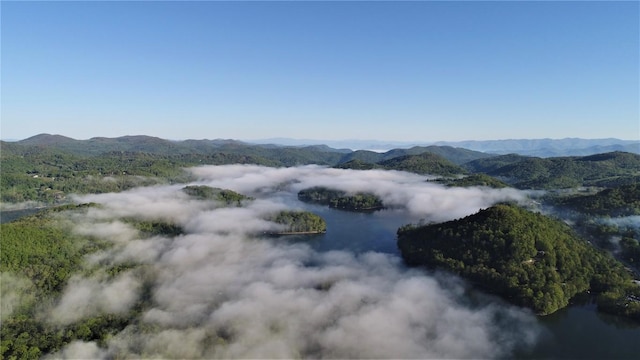 45 Bluegill Ln, Glenville, NC 28736 - view of water feature featuring a forest view