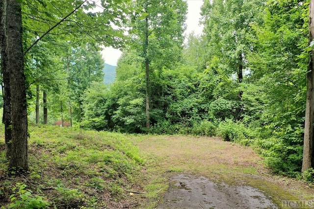 Listing photo 2 for 53 Pilot Knob Rd, Glenville NC 28736