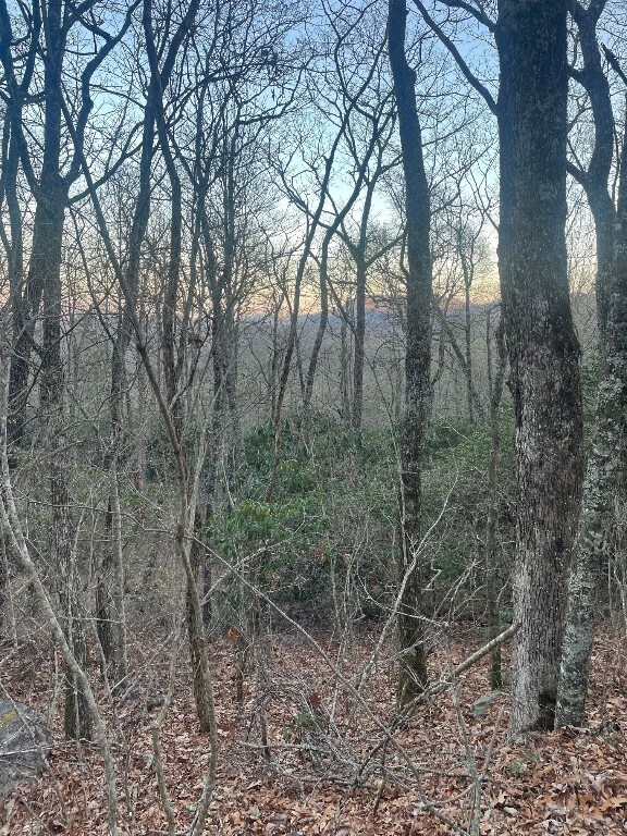 00 Zeb Buchanan Rd, Cullowhee, NC 28723
