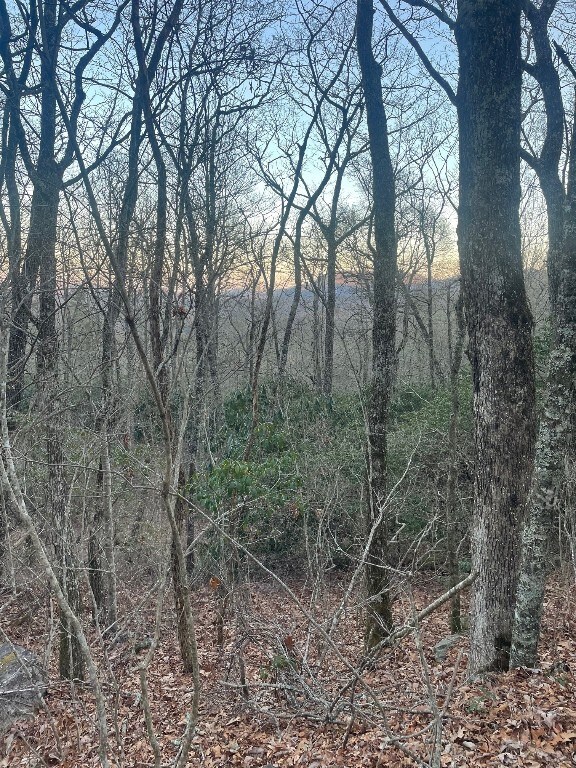 347 Zeb Buchanan Rd, Cullowhee NC, 28723 land for sale