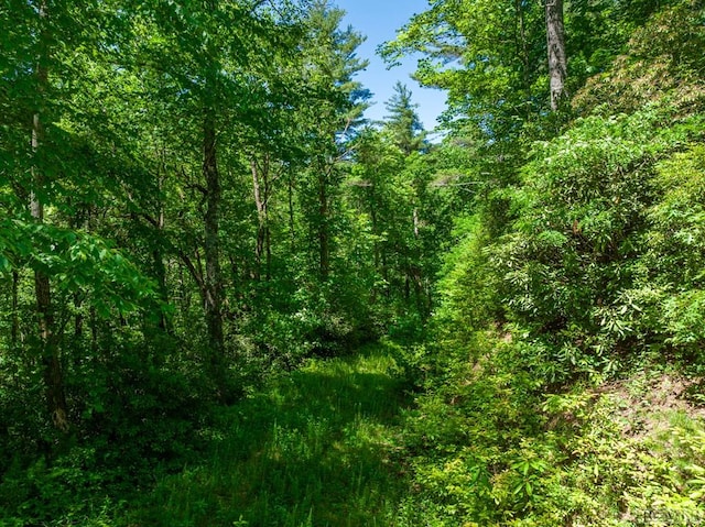 TBD Chastain Valley Rd, Highlands, NC 28741