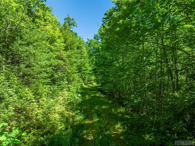 TBD Chastain Valley Rd, Highlands, NC 28741