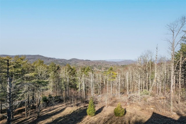 mountain view featuring a view of trees