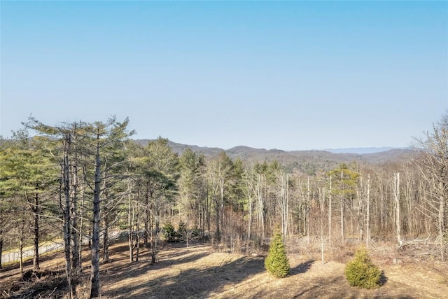 view of mountain feature with a forest view