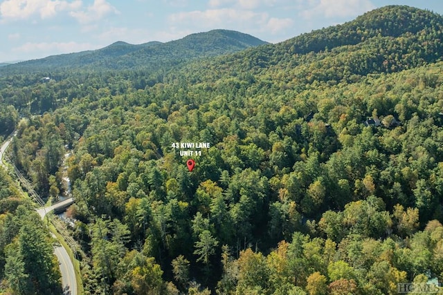 drone / aerial view with a mountain view