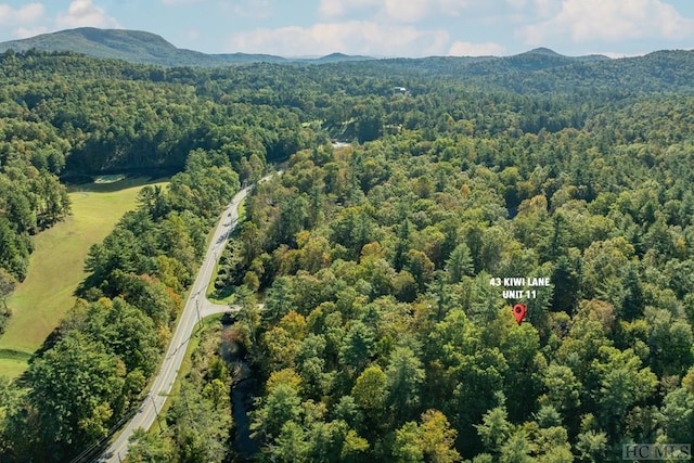 birds eye view of property with a mountain view