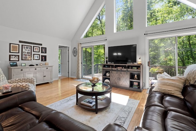 200 Blackberry Trl, Sapphire, NC 28774 - living room with high vaulted ceiling and light wood finished floors