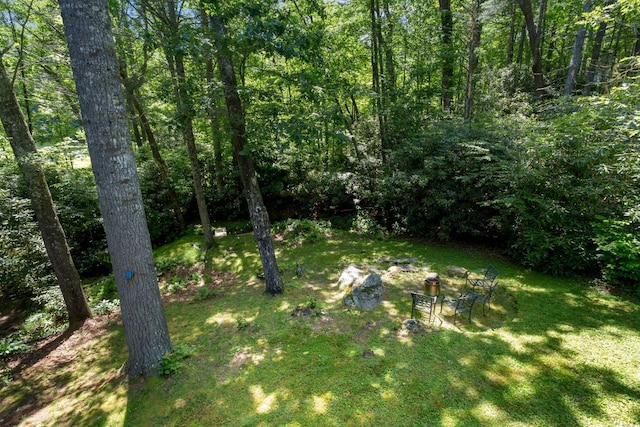 200 Blackberry Trl, Sapphire, NC 28774 - view of grassy yard with a wooded view