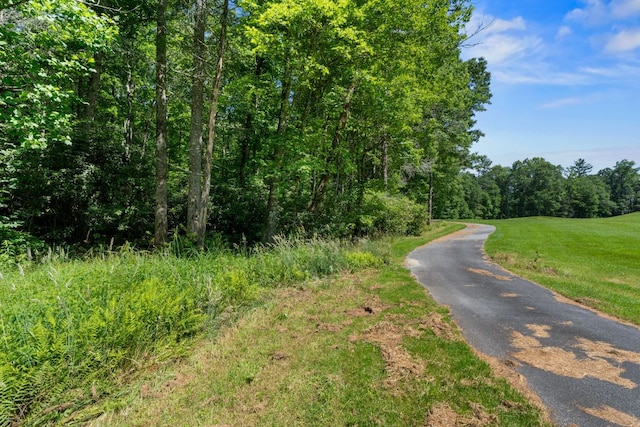 200 Blackberry Trl, Sapphire, NC 28774 - view of street with a wooded view