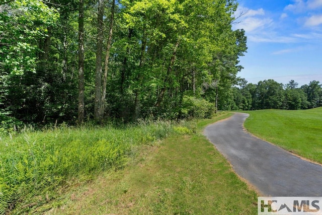 200 Blackberry Trl, Sapphire, NC 28774 - view of street featuring a view of trees