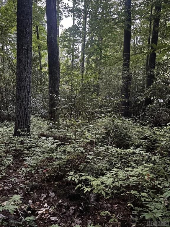 Listing photo 2 for LOT30 Lupton Rd, Sapphire NC 28774