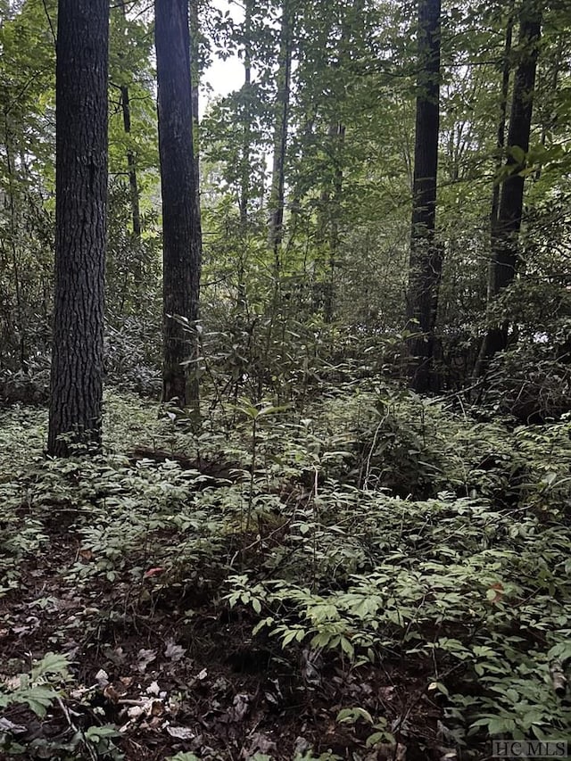 Listing photo 3 for LOT30 Lupton Rd, Sapphire NC 27741