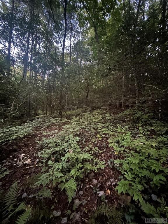 Listing photo 3 for LOT30 Lupton Rd, Sapphire NC 28774