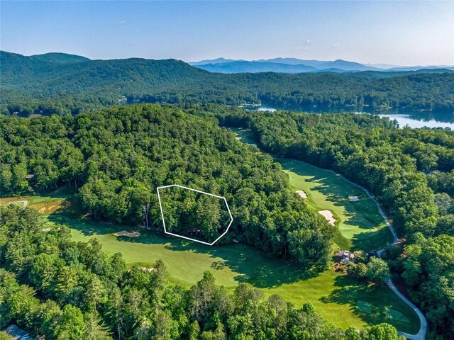 J35 Cherokee Pt, Lake Toxaway, NC 28747