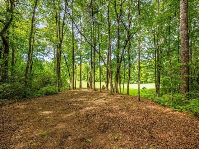 J35 Cherokee Pt, Lake Toxaway, NC 28747