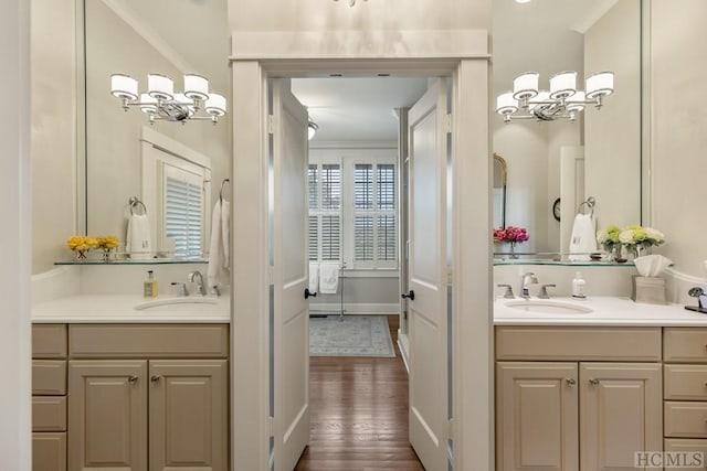 bathroom with crown molding, wood-type flooring, and vanity