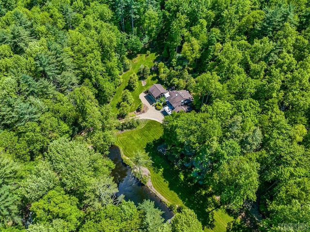 1213 Bull Pen Rd, Cashiers, NC 28717 - birds eye view of property featuring a water view