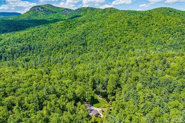 drone / aerial view with a mountain view