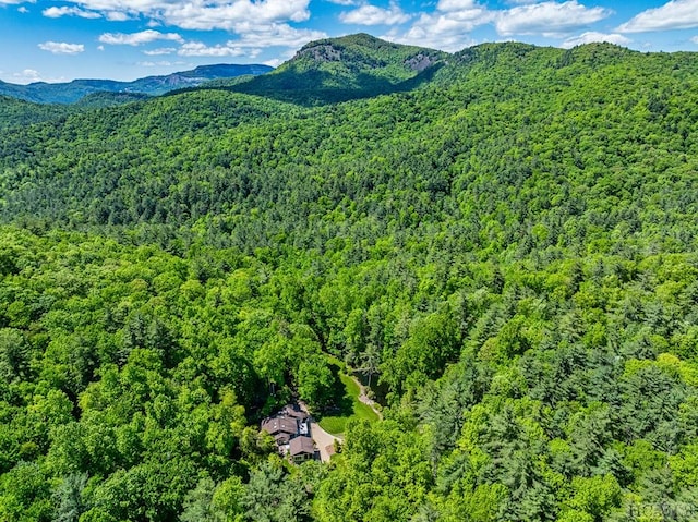 aerial view featuring a mountain view