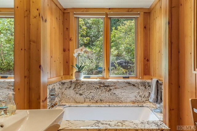 1213 Bull Pen Rd, Cashiers, NC 28717 - bathroom with wood walls and a washtub
