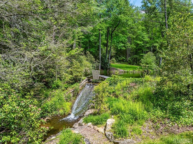 view of landscape with a water view