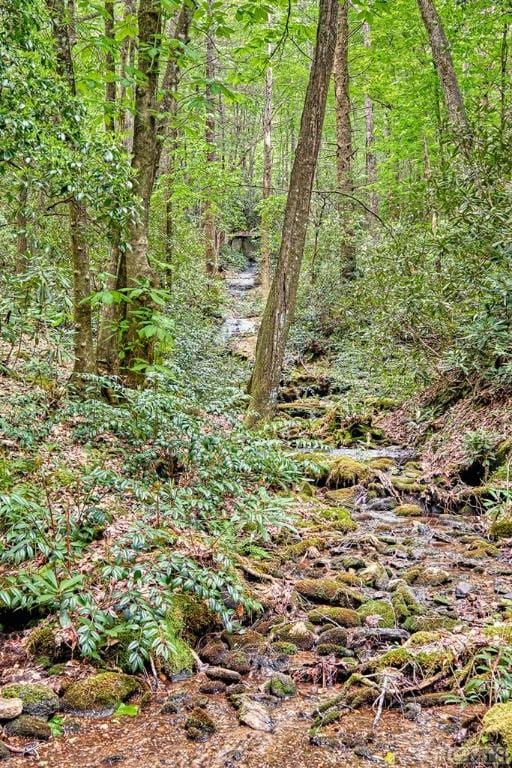 1213 Bull Pen Rd, Cashiers, NC 28717 - view of nature featuring a wooded view