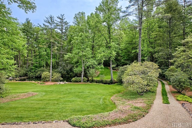 view of home's community featuring a lawn