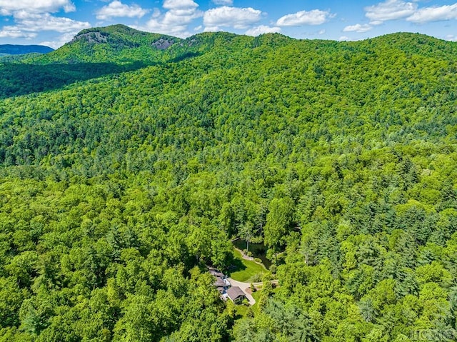 drone / aerial view with a mountain view