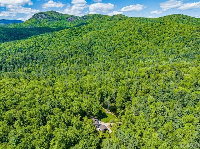 1213 Bull Pen Rd, Cashiers, NC 28717 - aerial view featuring a mountain view and a wooded view