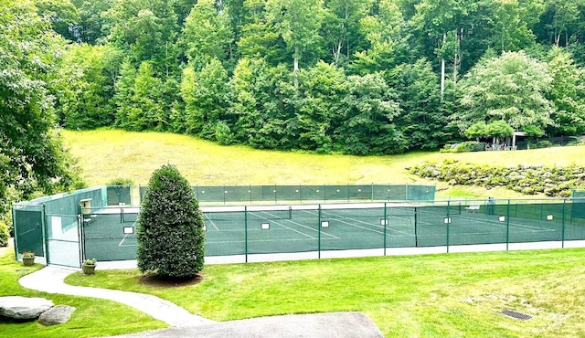 56A First Tee Trl Unit 259A, Cashiers, NC 28717 - photo 39