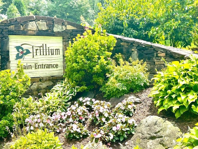 56A First Tee Trl Unit 259A, Cashiers, NC 28717 - photo 25