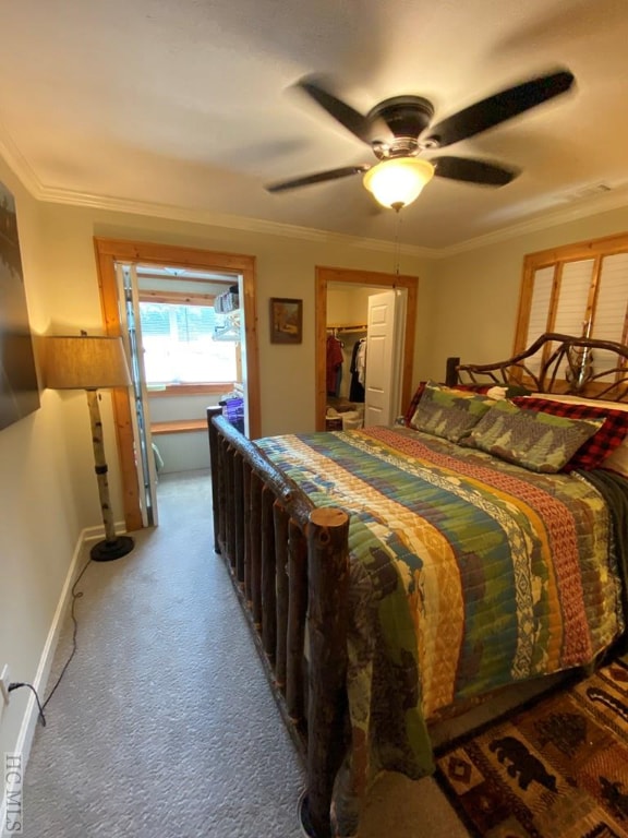 bedroom featuring crown molding, ceiling fan, a closet, and a walk in closet