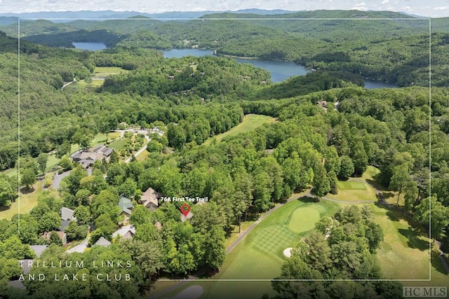 drone / aerial view featuring a water and mountain view