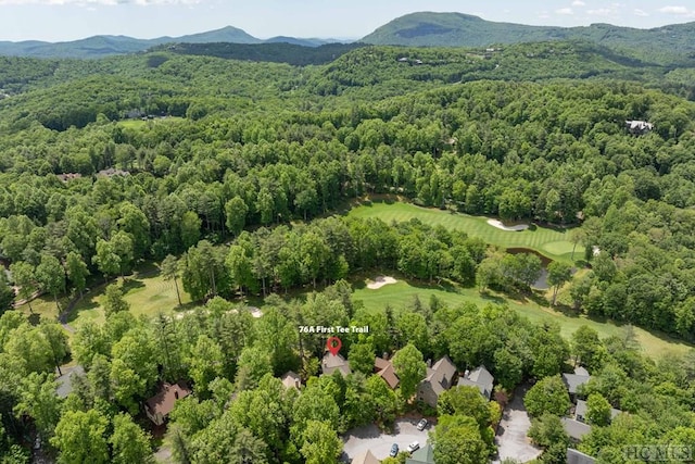 drone / aerial view with a mountain view