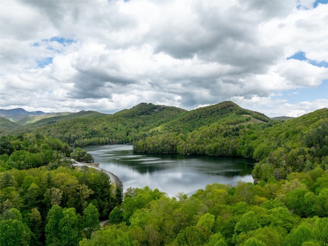 13084 Canada Rd, Tuckasegee, NC 28783 - water view featuring a forest and a mountain backdrop